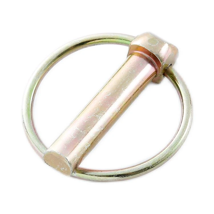 Stainless Hlau Pin